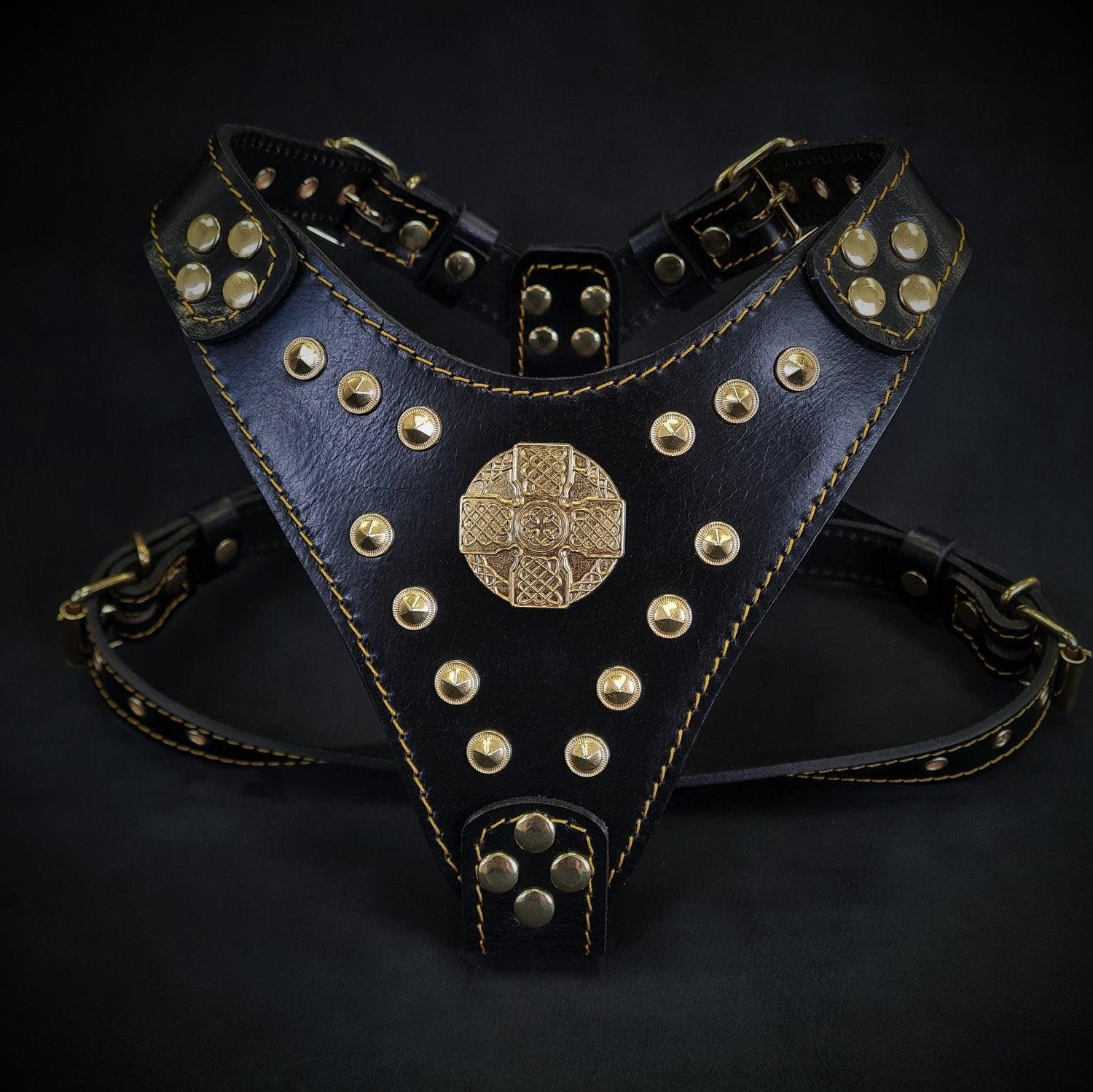 The ''Maximus'' harness Black & Gold Small to Medium Size-0